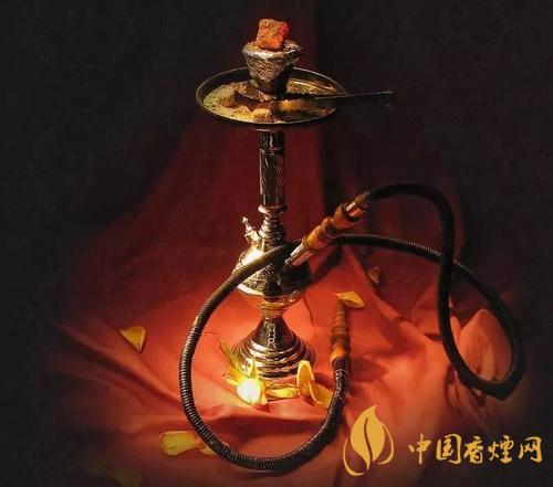 水煙對身體的危害大不大 水煙的危害和優點盤點