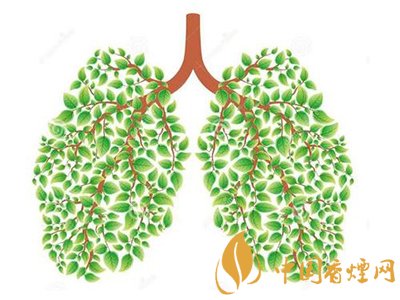 相比癌癥慢阻肺疾病離吸煙者更近！