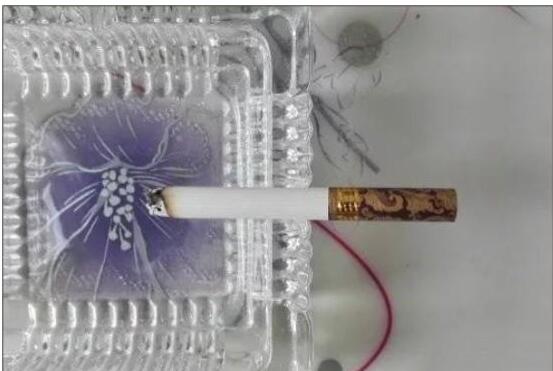 黃鶴樓漫天游，除了短貴沒別的毛病