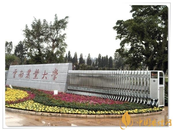 煙草專業大學排名，煙草專業就業前景好
