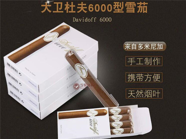 大衛(wèi)杜夫6000圖片