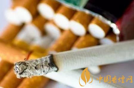 一天一根煙危害大嗎 人一天能承受多少支煙！