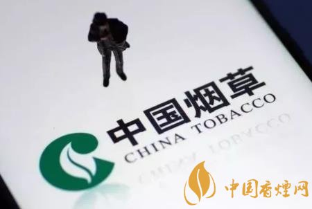 煙草公司是公務員嗎 公務員和煙草公司哪個待遇好
