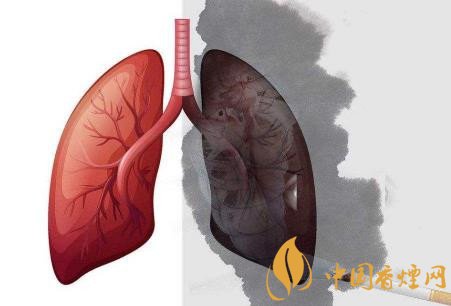 吸煙是怎樣危害肺部健康 吸煙的常見五大危害介紹
