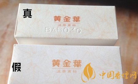 黃金葉天葉如何辨別真偽 黃金葉天葉價格介紹